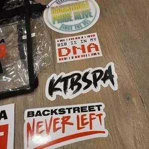 Backstreet Boys | Accessories | Backstreet Boys Dna Tour 223  display picture 2